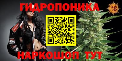 стаф Нарткала