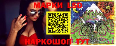 гидропоника Нальчик