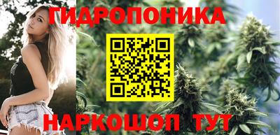 стаф Нарткала